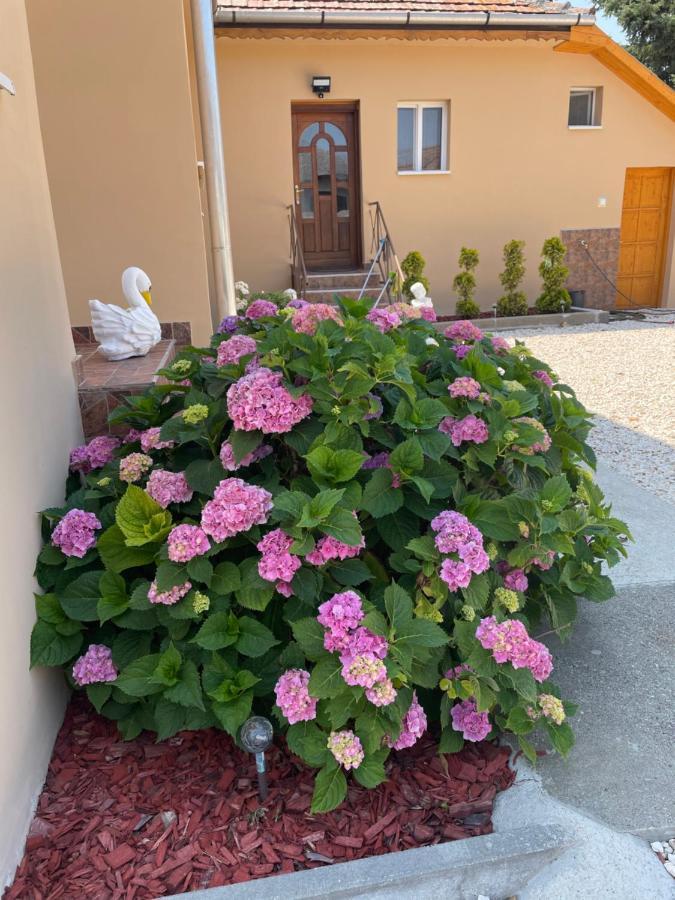 Toerpi Apartman Halmaj 외부 사진